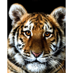Tiger  diamond painting  round square bead embroidery cross stitch who